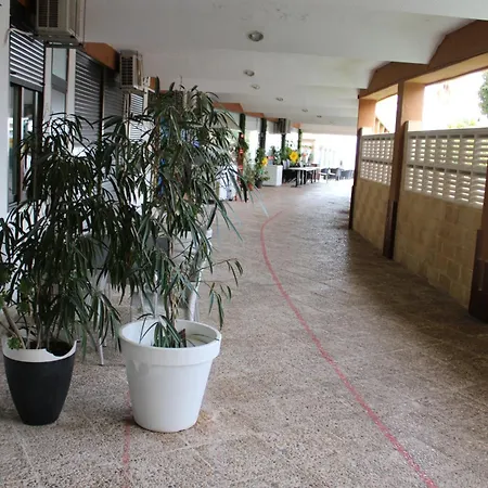 Moderno Playa Y Piscina