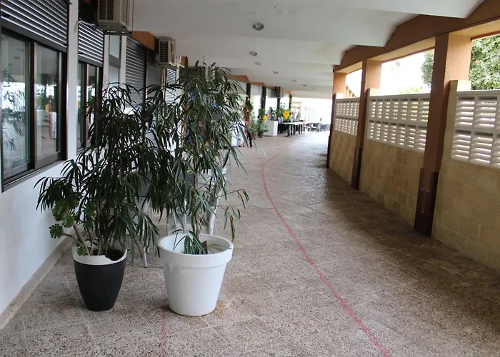 Moderno Playa Y Piscina